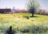 秋元牧場の草地と八重桜の水彩画